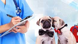 兽医临床诊疗技术